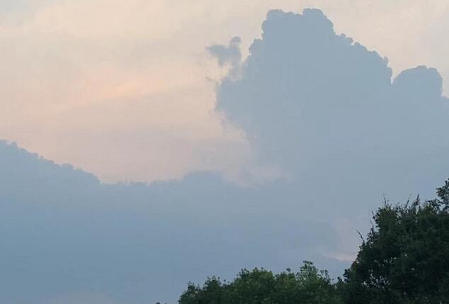 駕校教練和孫瀟瀟