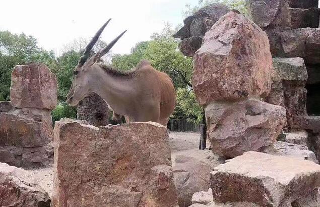 五筆打字法自學(xué)的方法