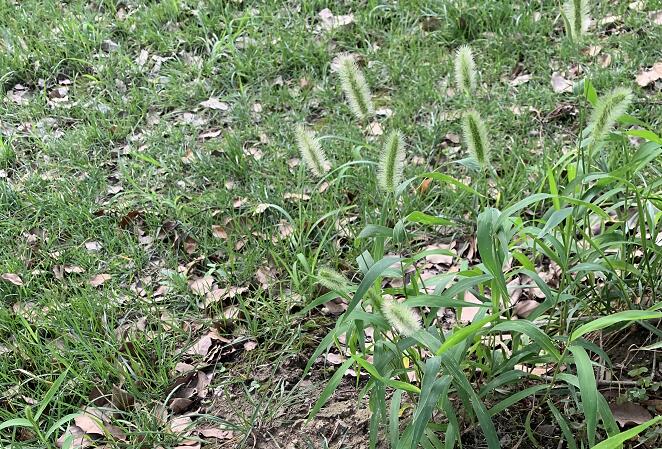 姬存希的護(hù)膚品怎么樣