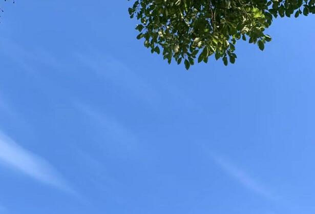 紅星照耀中國每章感悟