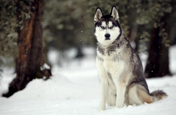 特朗普電影鏡頭被剪掉