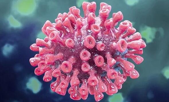 英國(guó)女王侍從新冠病毒檢測(cè)陽(yáng)性