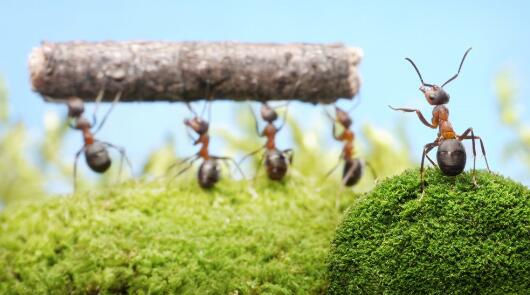 索尼回應(yīng)投資嗶哩嗶哩動(dòng)畫