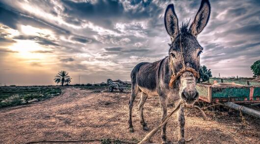 智利將新冠肺炎死亡病例計(jì)入治愈