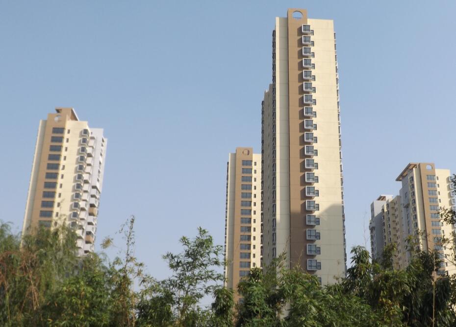 劉佳所屬公司聲明