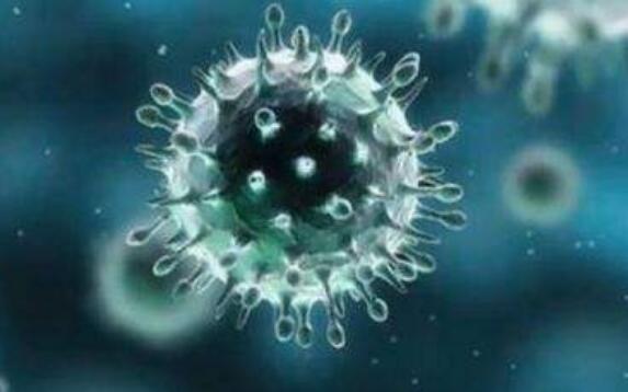 2人篡改核酸檢測報(bào)告從菲律賓回國