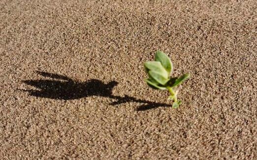 高德回應導航致景區(qū)擁堵