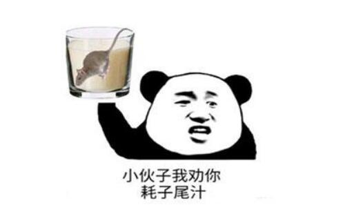 耗子尾汁是什意思