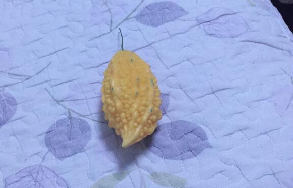 菠蘿蜜核的功效與作用