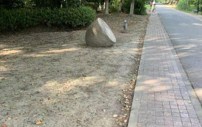 跳車女孩家屬刪悼文