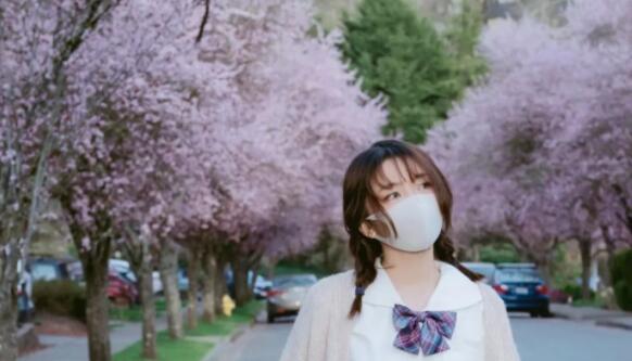 玩偶姐姐是什么人