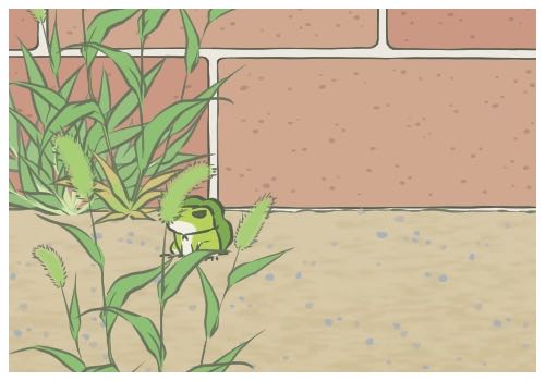 養(yǎng)貓對女生下面的危害