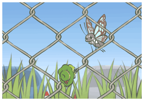 車臣領(lǐng)導(dǎo)人被授上將軍銜