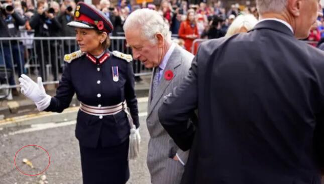 男子向英國國王丟雞蛋被罰款100英鎊