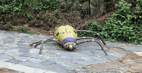 女子堵高速拍下百輛車占應急車道