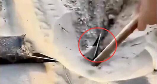 銀沙灣通報(bào)沙漠埋釘系報(bào)復(fù)行為