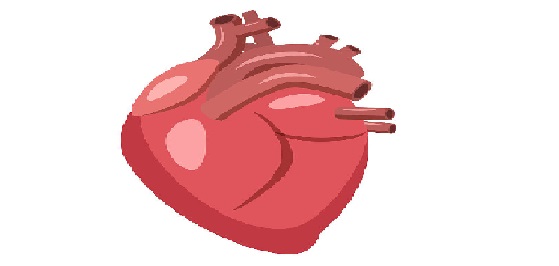 女嬰心臟扎進(jìn)一根4厘米繡花針