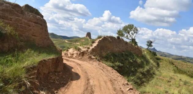 年薪800萬高管被拘留調(diào)查