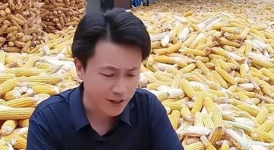 那些被秀才圈粉的中老年女性