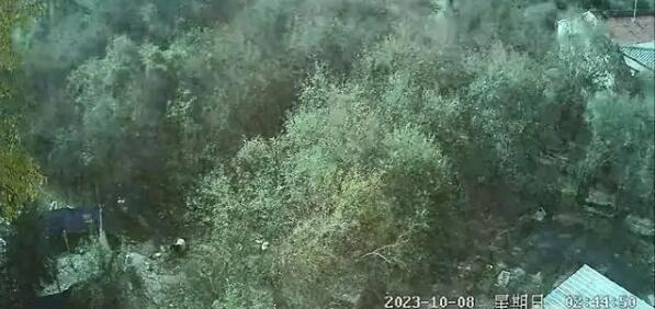 青海門源縣夜間天空亮如白晝