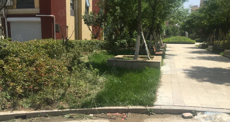 山東平度兩幼師出租房?jī)?nèi)遇害