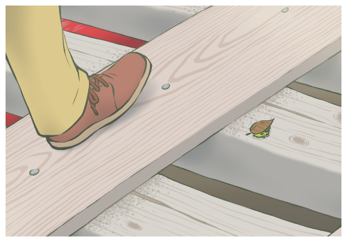 梯戶比例是什么意思