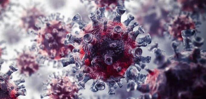 腺病毒感染引起什么??？