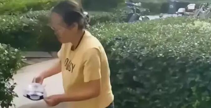 女子小區(qū)內(nèi)投放蟑螂