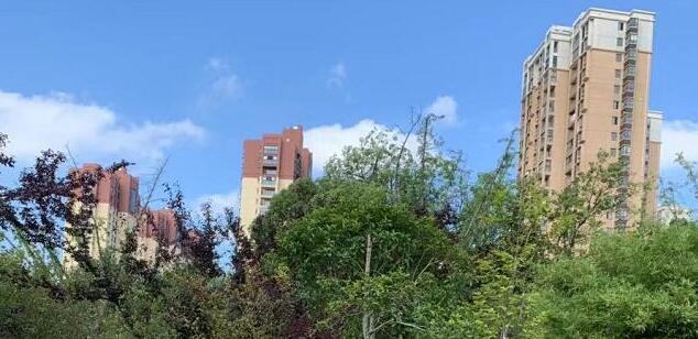 廣州一動(dòng)物園兩只袋鼠對打到飛起