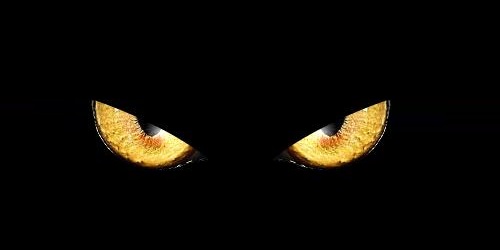 美國(guó)芯片巨頭微芯陸續(xù)遭受網(wǎng)絡(luò)攻擊