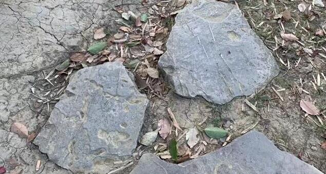 翡翠最不值錢(qián)的顏色