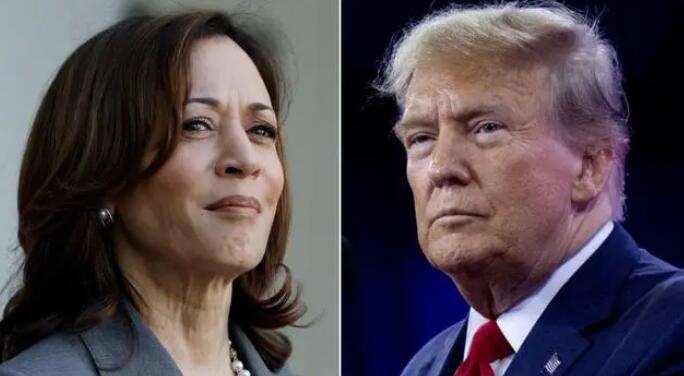 美國(guó)副總統(tǒng)哈里斯后來居上