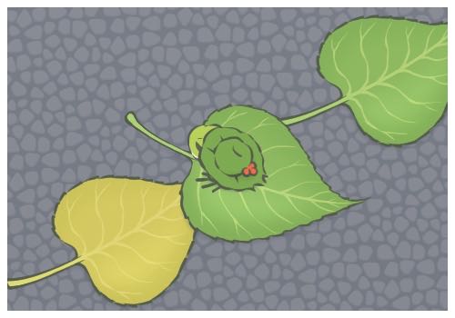 紅斑狼瘡是什么癥狀