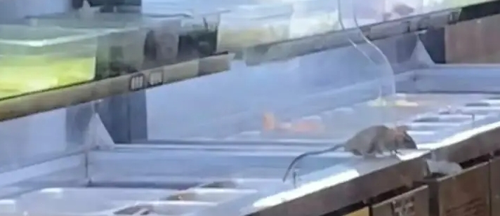 楊國福麻辣燙老鼠事件后續(xù)